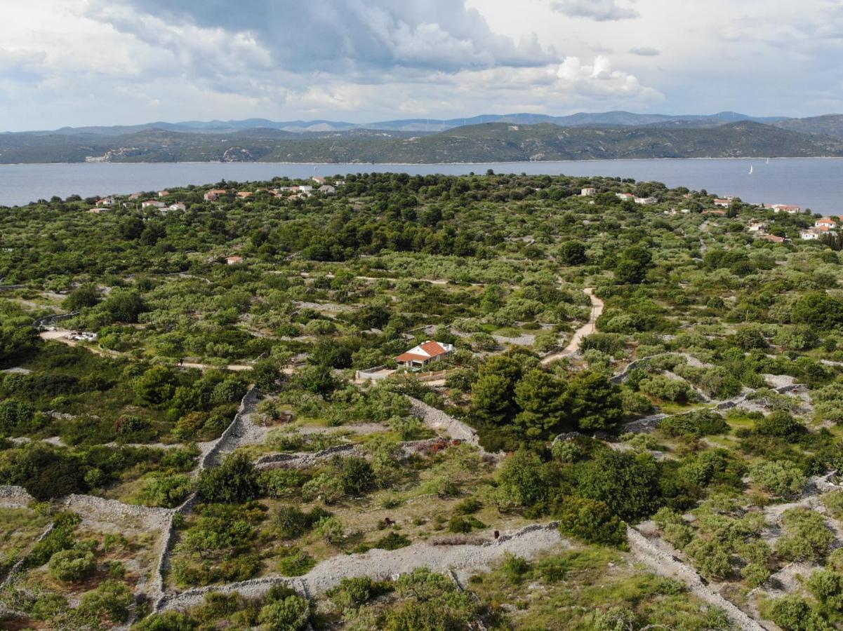 Vila Lila Mali Drvenik Dış mekan fotoğraf